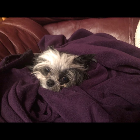 Victoria’s Secret Very Sexy Thong Satin Lace Hipster Size Medium Black NWT - Picture 8 of 12